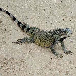 Meet your Posher, Linda